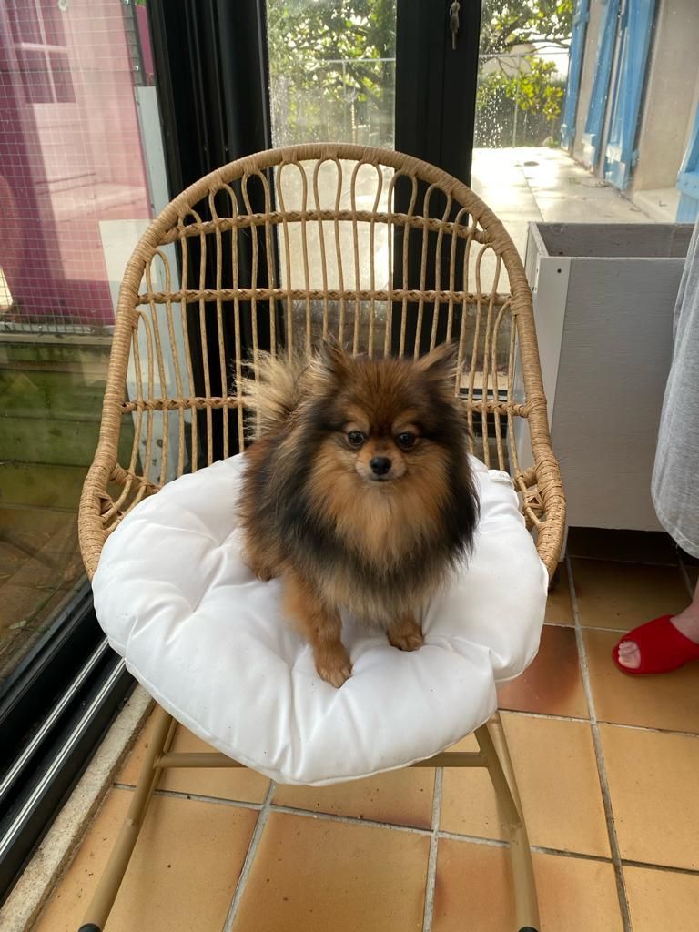 Thelma De la petite moriniere